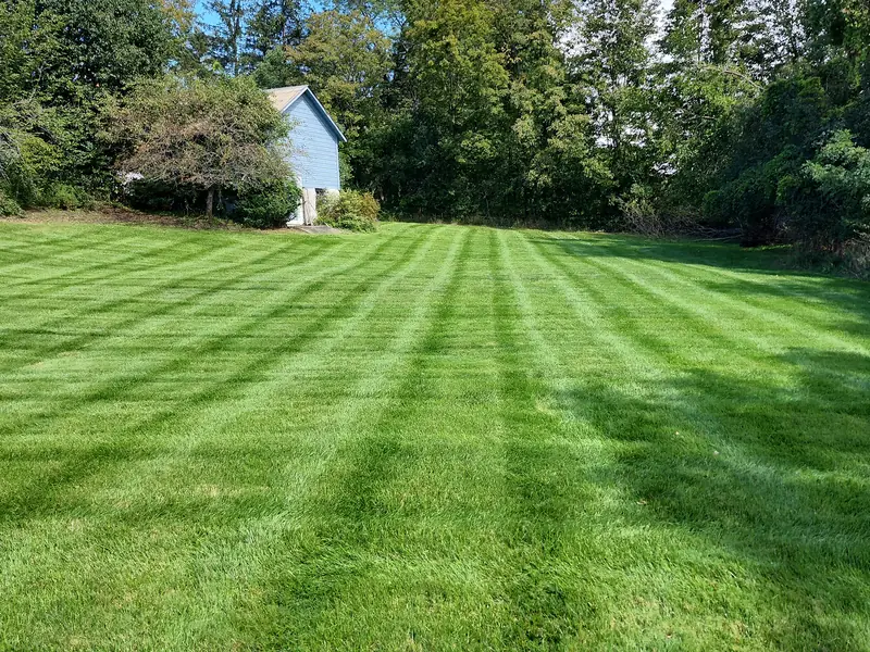 Freshly striped, thick green lawn on a customer property in Westchester County
