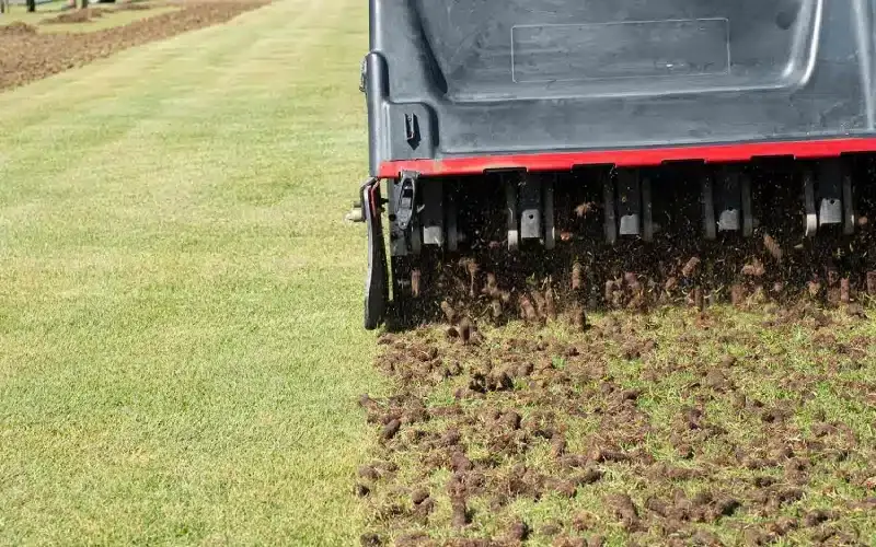 Core aeration on a residential lawn